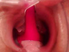 AlphaTeenies presents: Pregnant pussy - the inside look